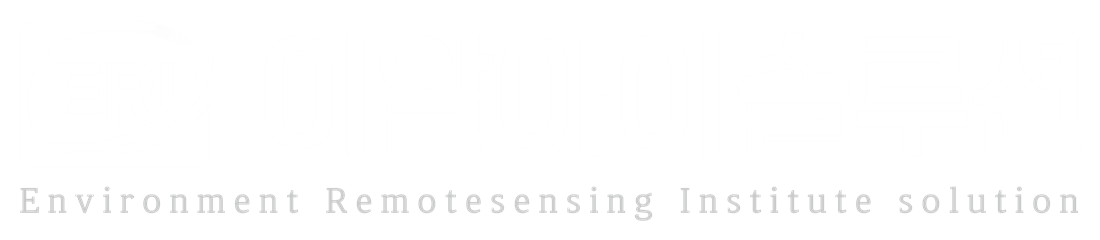 (주)이알아이솔루션